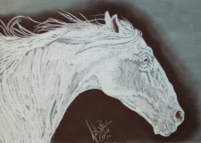 Pastel Seco